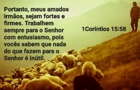 1Corntios 15:58