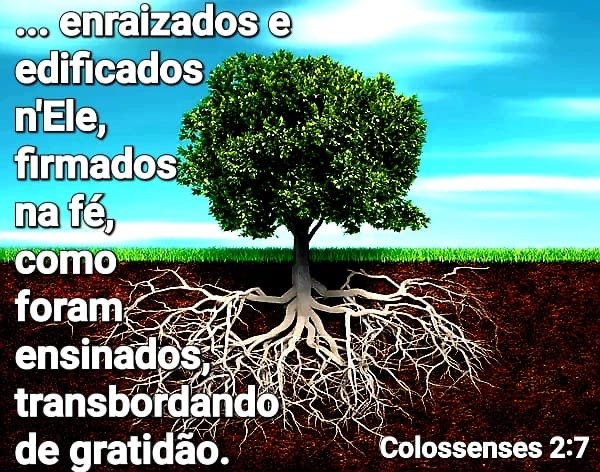 Colossenses 2:7