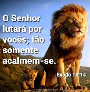 Êxodo 14:14