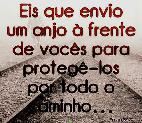 xodo 23:20