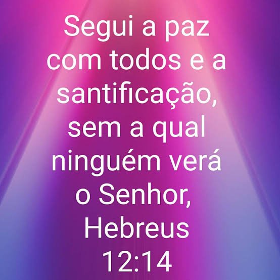 Hebreus 12:14