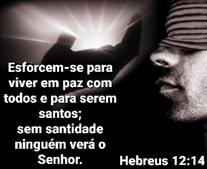 Hebreus 12:14