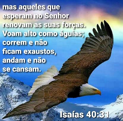 Isaas 40:31