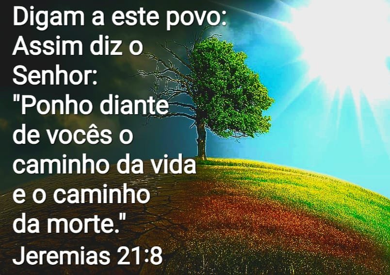 Jeremias 21:8