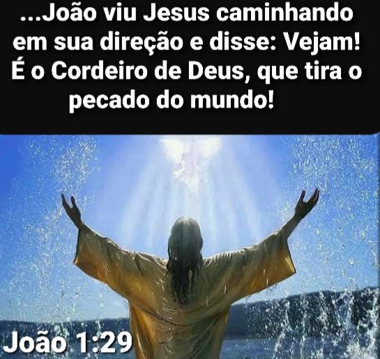 Joo 1:29