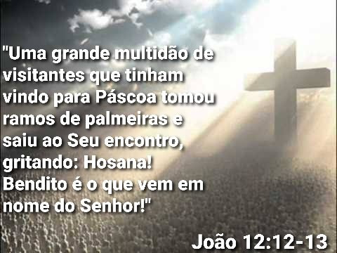 Joo 12:12-13