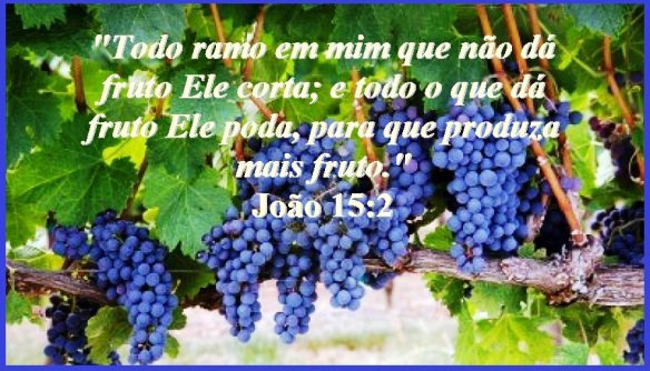 Joo 15:2