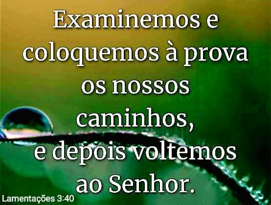 Lamentaes 3:40