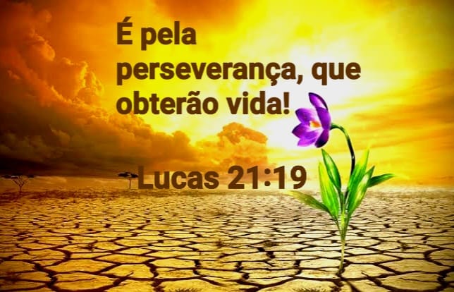 Lucas 21:19