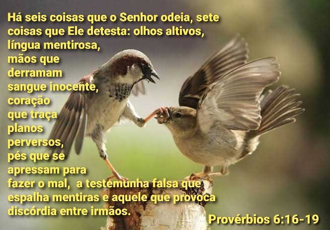 Provrbios 6:16-19