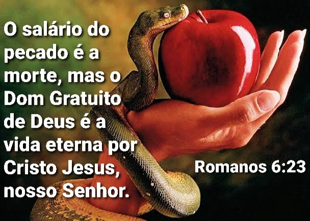 Romanos de 6-23