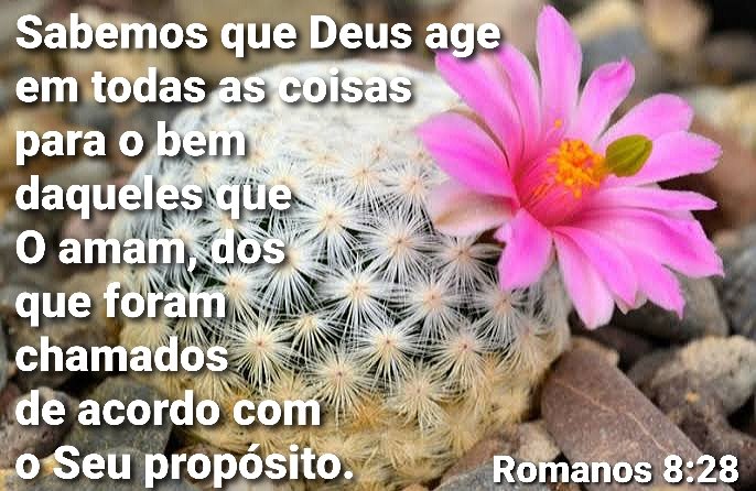Romanos 8:28