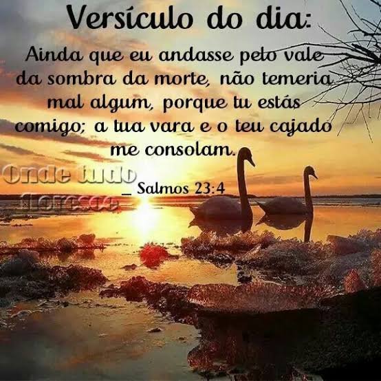 Salmos 23:4