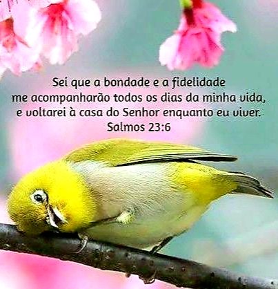 Salmos 23:6