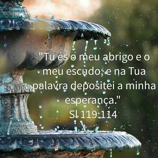 Sl 119:114