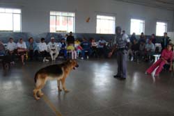 eventos-lions-valeria-553