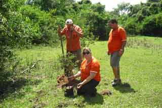 05 - plantando árvores