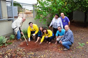 Eu_plantei_uma_árvore_em_ANDRADINA_20AGO2011