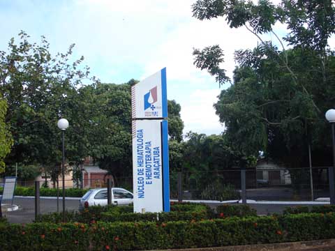 Doação de Sangue (2)