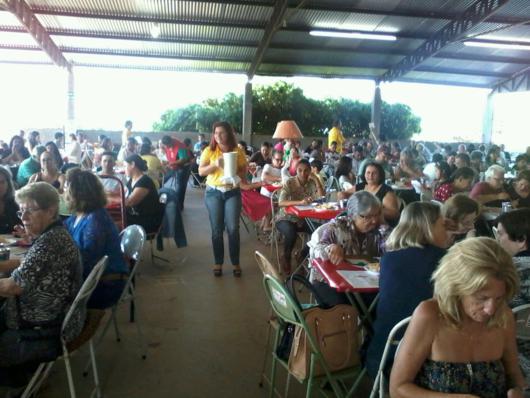 chá da  Santa Casa 3_530x398
