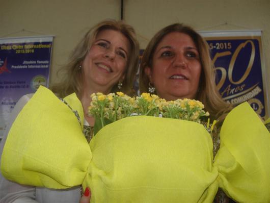 foto 9_530x398