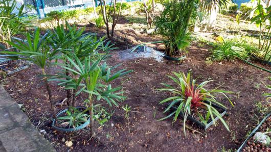 BAURU_BELA_VISTA_jardim_asilo_2_530x298