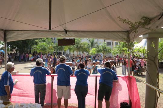 IMG_4153_540x360