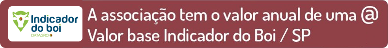Indicador frase