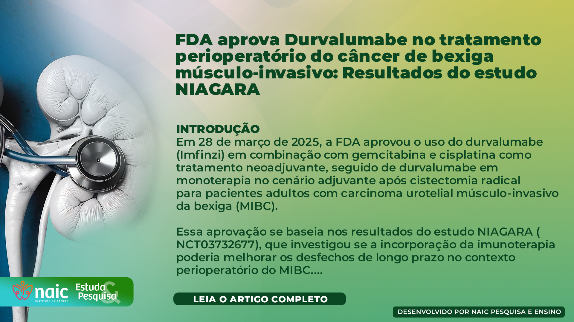 FDA aprova Durvalumabe no tratamento perioperatório do câncer de bexiga músculo-invasivo: Resultados do estudo NIAGARA