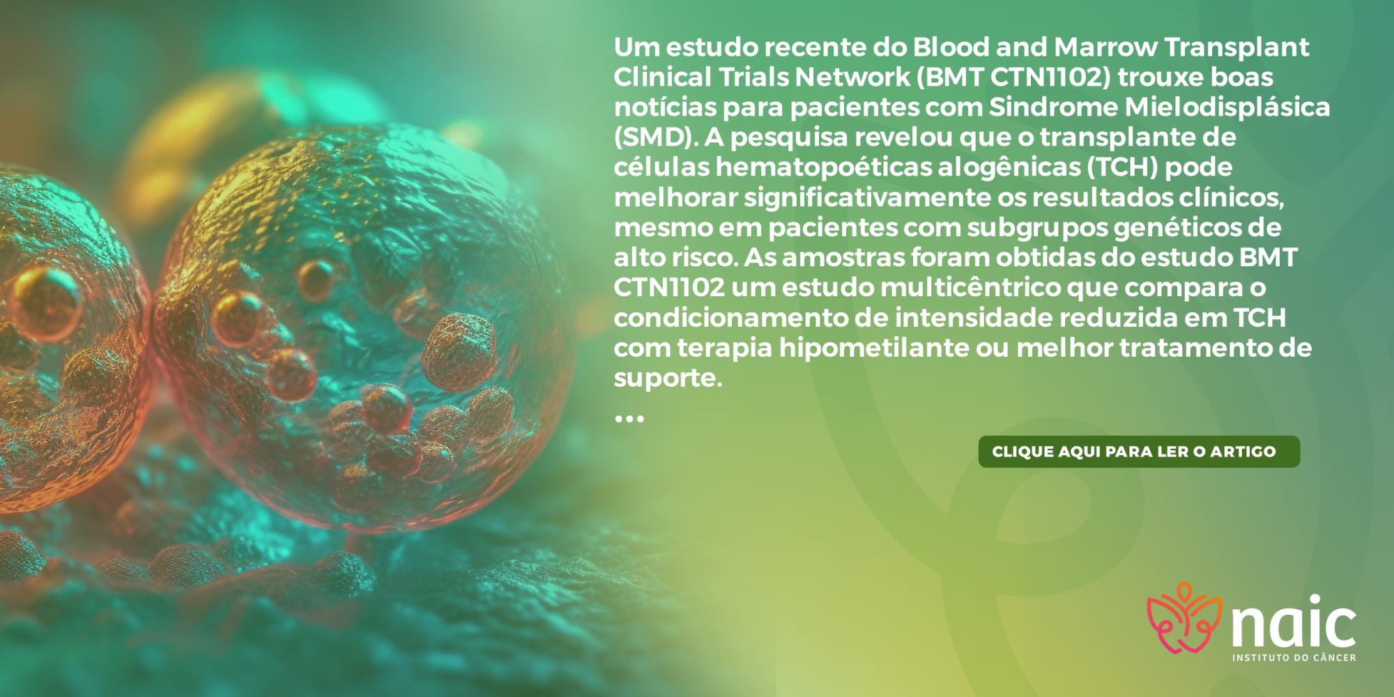 Transplante de Clulas Hematopoticas Alognicas Melhora os Resultados na Sindrome Mielodisplsica em Subgrupos Genticos de Alto Risco: Anlise Genti ca do Estudo BMT CTN 1102