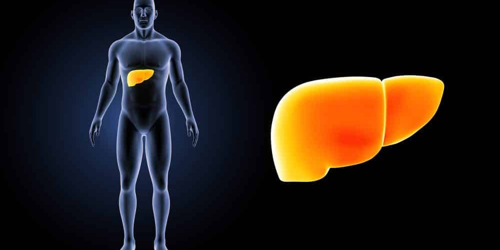 A IMPORTNCIA DE REALIZAR O TRATAMENTO DA HEPATITE C