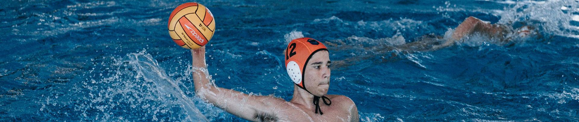 ABDA e HaBaWaBa Brasil so destaques no Exterior