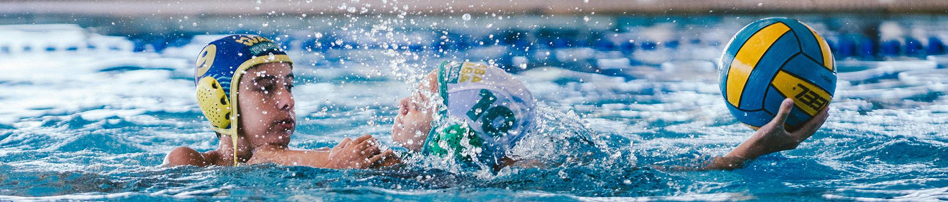 Abertas inscrições para HaBaWaBa Brasil 2022 em duas categorias Abertas inscrições para HaBaWaBa Brasil 2022 em duas categorias