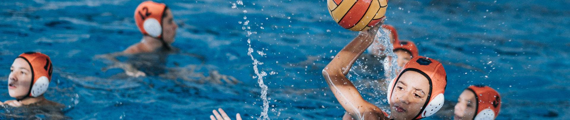 HaBaWaBa Brasil ter campees nas sries Titan e Tsu