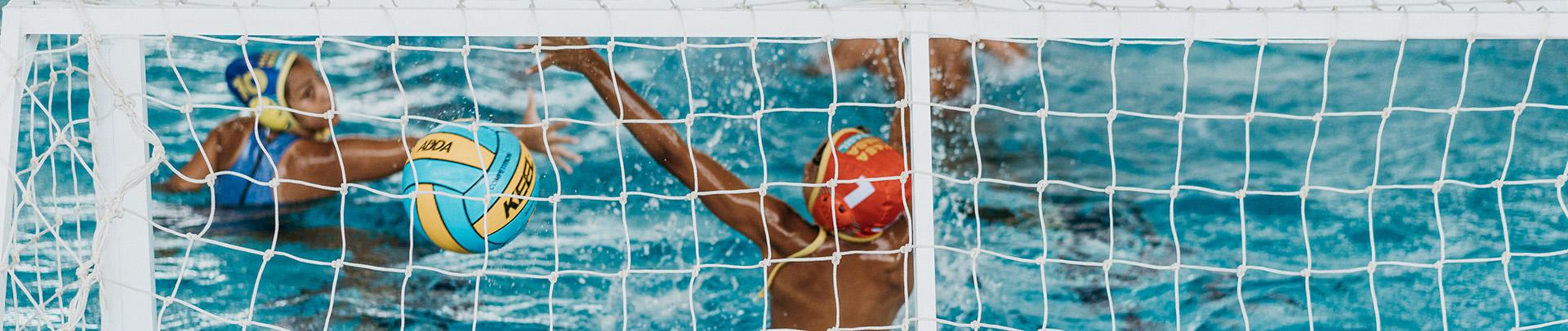 Semanas finais de inscries para o HaBaWaba Brasil 2021