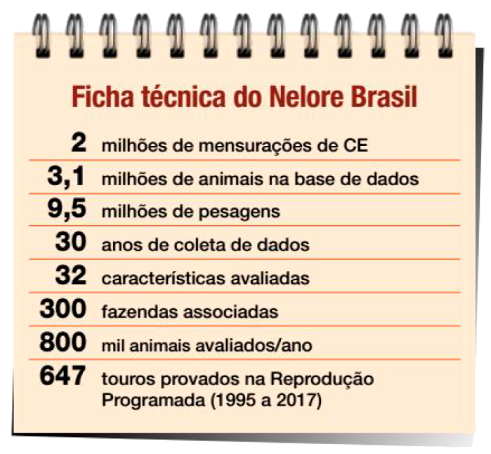 Ficha tcnica do Nelore Brasil