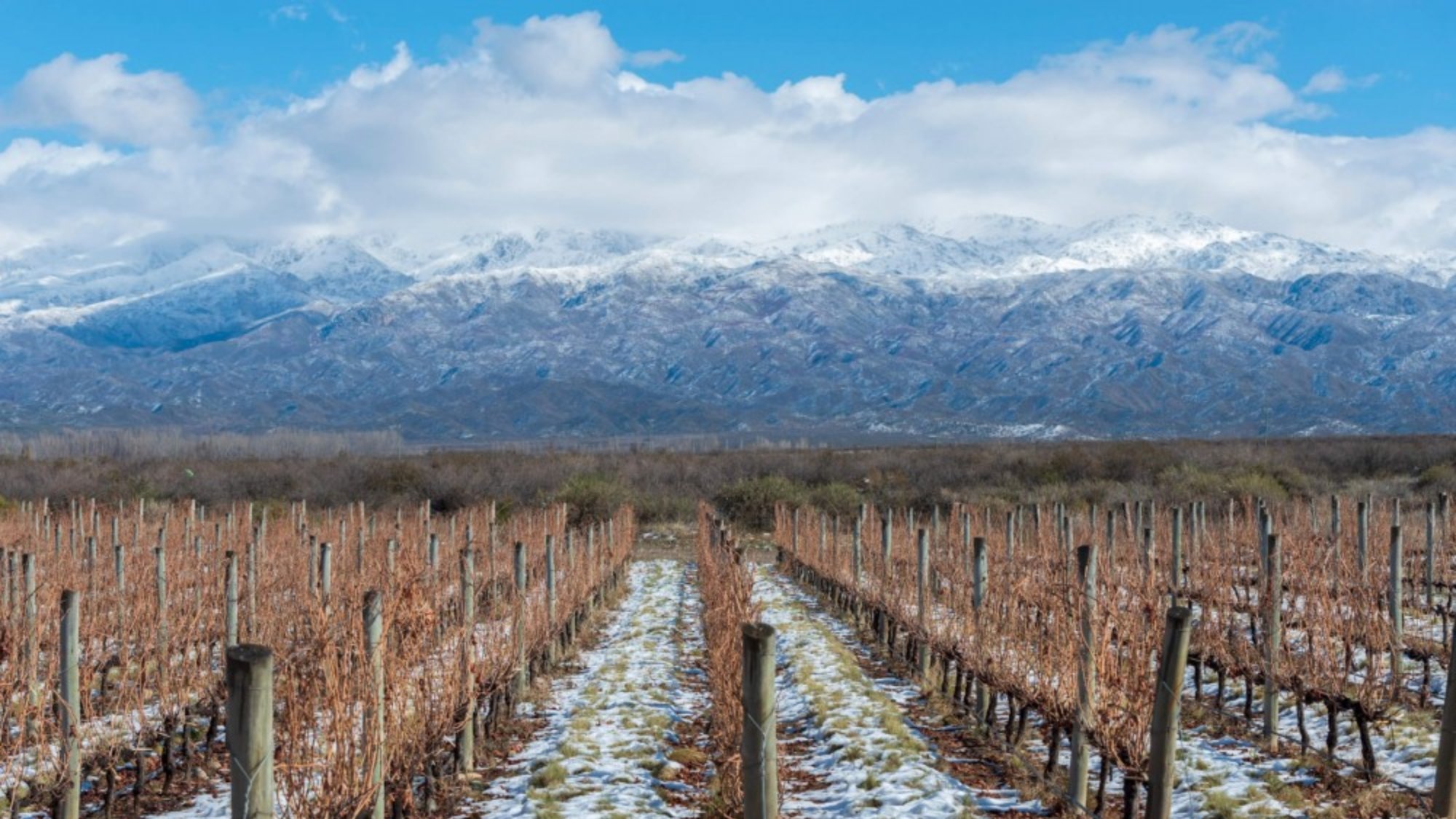 Bodegas Salentein: o lugar onde o vinho transforma paisagens e hist�rias