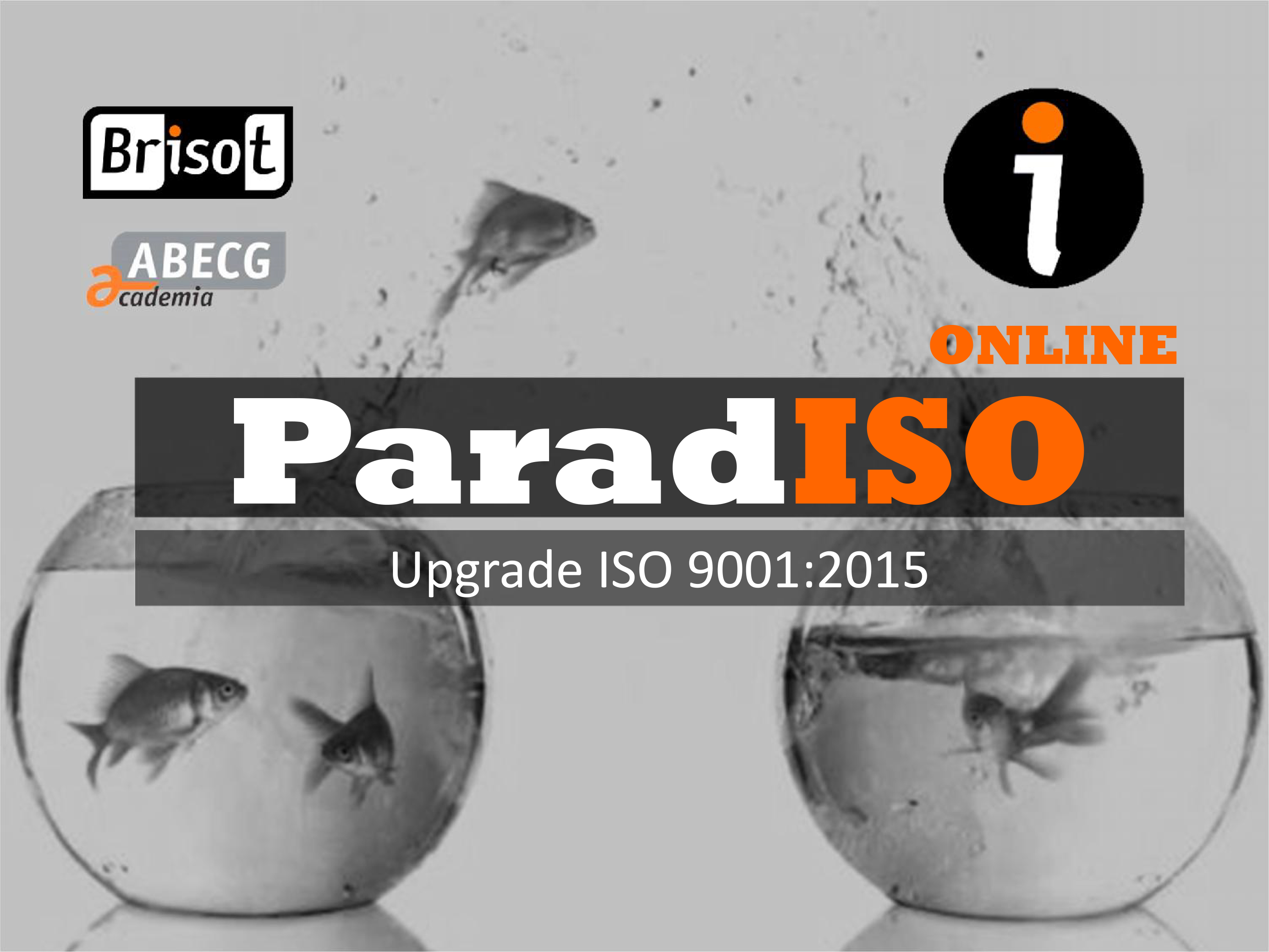ParadISO ONLINE  Upgrade ISO 9001:2015