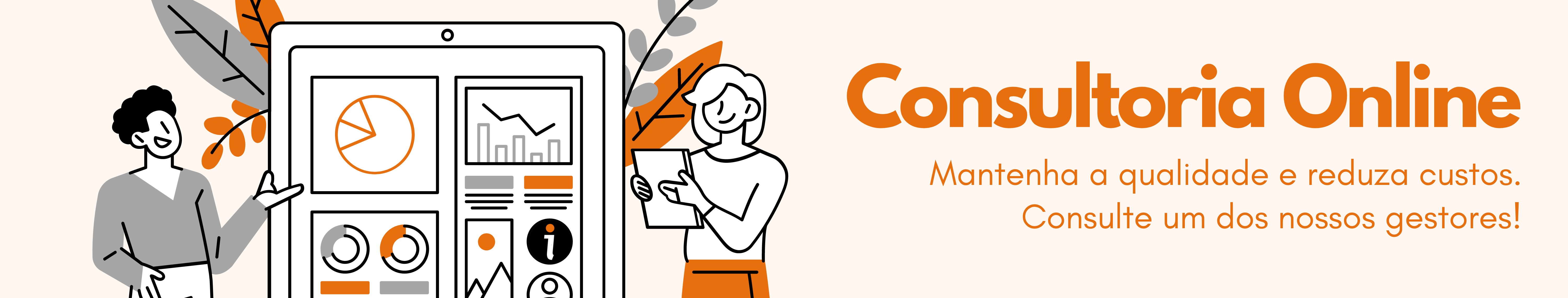 Consultoria Online