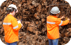 Sustentabilidade e Economia Circular