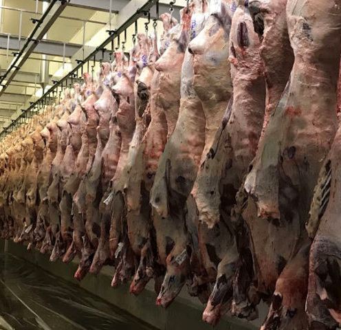 GPB pontua o impacto da alterao de tratamento das carcaas com cisticercose ao produtor